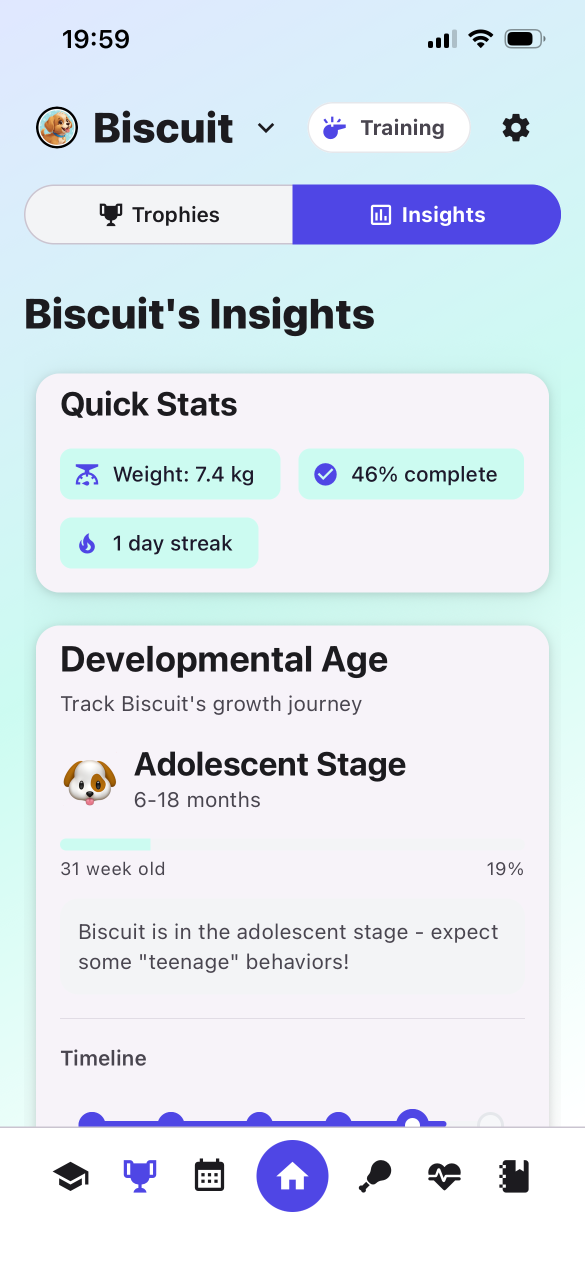 Insights Dashboard