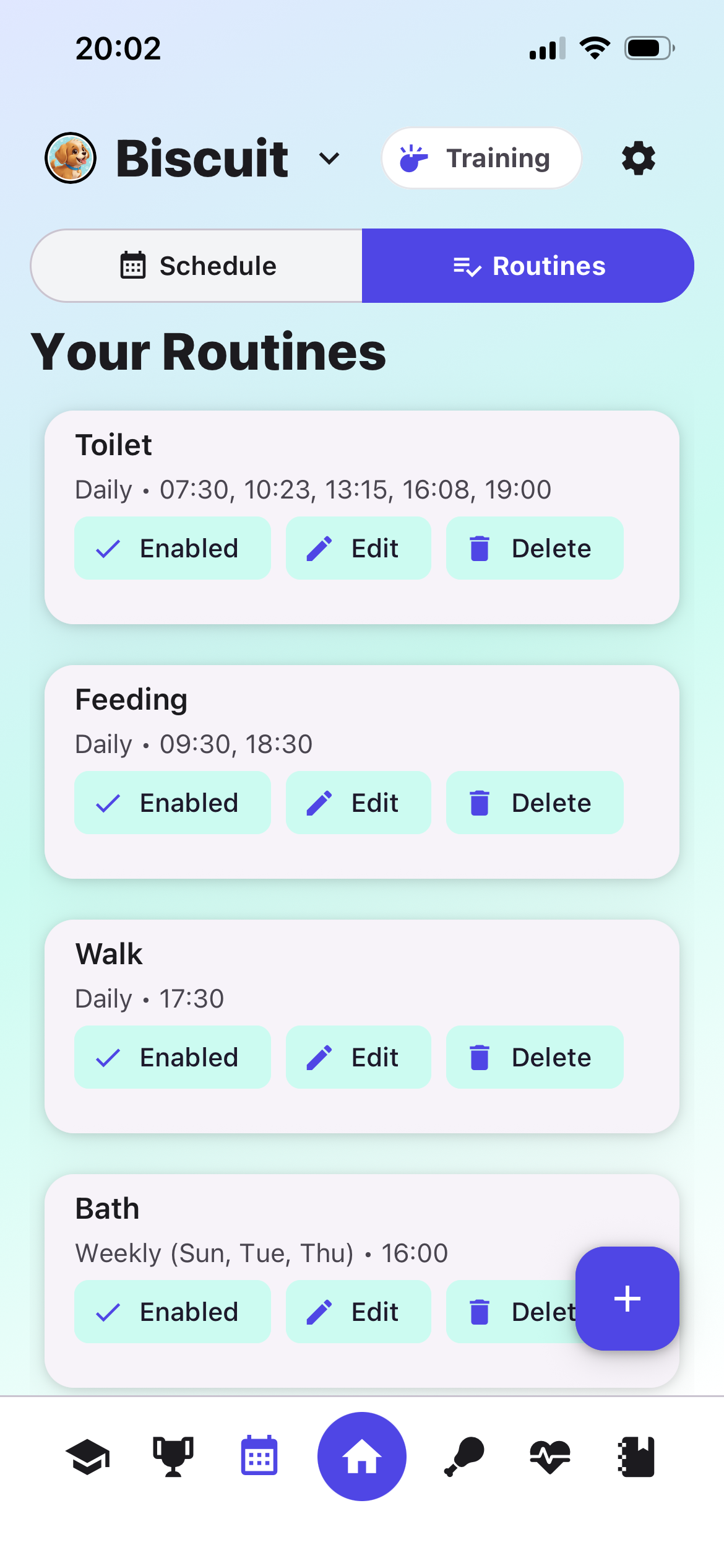 Daily Routines